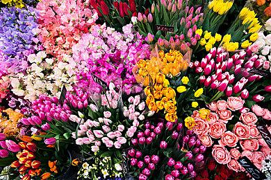 传微软强迫Xbox更多游戏登陆对手平台 不设红线